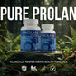 Prolan – Advanced Prostate Health & Maximum Care 2 pack offer